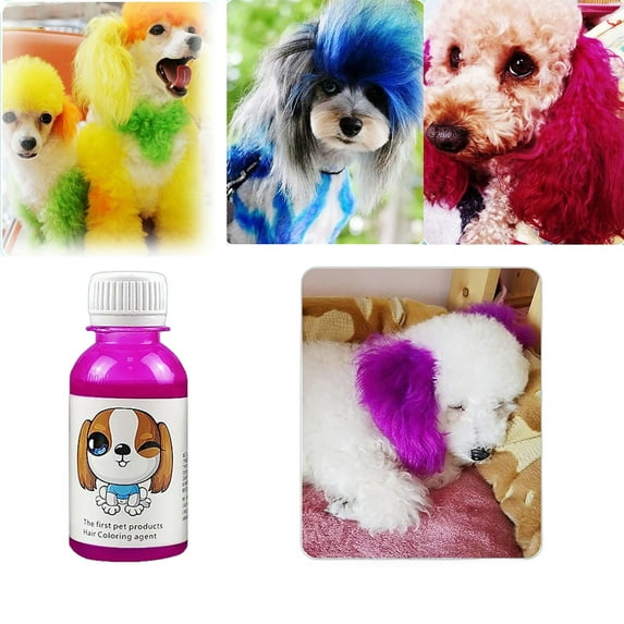 TaoLeHui Semi-Permanent Dog Hair Dye Kit - Lasts 2 Months, DIY Pet Hair Color with Primary Colors, Safe & Non-Toxic for Easy Home Use