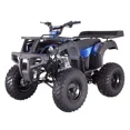 thumbnail image 1 of TaoMotor Rhino 250 197cc ATV with Front Bumper and Rear Rack, 1 of 7