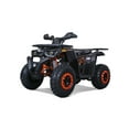thumbnail image 1 of TaoMotor TM G200 Gray 169 cc ATV, 1 of 1