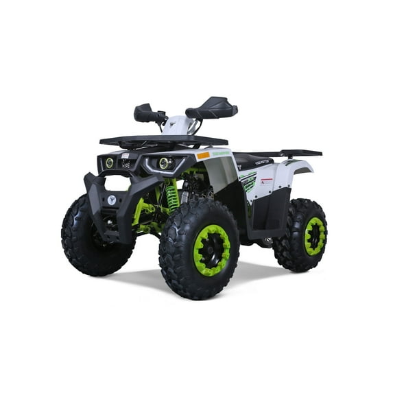 TaoMotor TM G200 Green 169 Cubic Centimeters ATV
