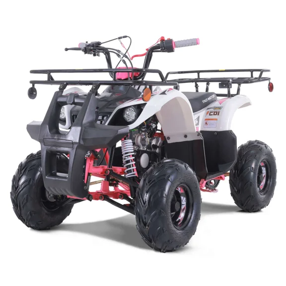 TaoTao D125 125cc Fully Automatic Mid Utility ATV