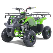 TaoTao D125 125cc Fully Automatic Mid Utility ATV