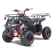 TaoTao D125 125cc Fully Automatic Mid Utility ATV