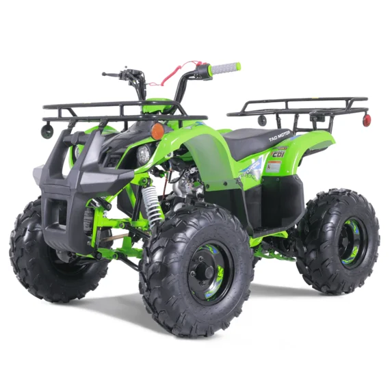 TaoTao T-Force Fully Automatic Mini Utility 110cc ATV