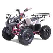 TaoTao T-Force 110cc Fully Automatic Mini Utility ATV