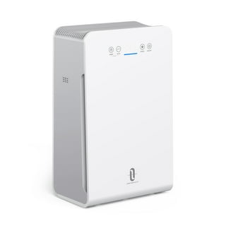 Pet dander 2024 air purifier walmart
