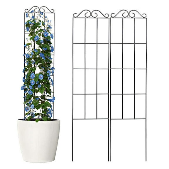 Taolixe 2Pcs Plant Climbing Rack Easy to Install Plant Support Stand Reusable Metal Garden Trellis for Home Outdoor - Clearance Storage Rack