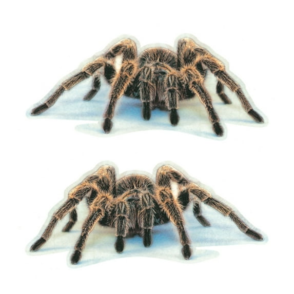 Taolixe 3D Spider Lizard Scorpion Car Sticker Vehicle Window Mirror Bumper Decal Decor Clearance-Car Sticker