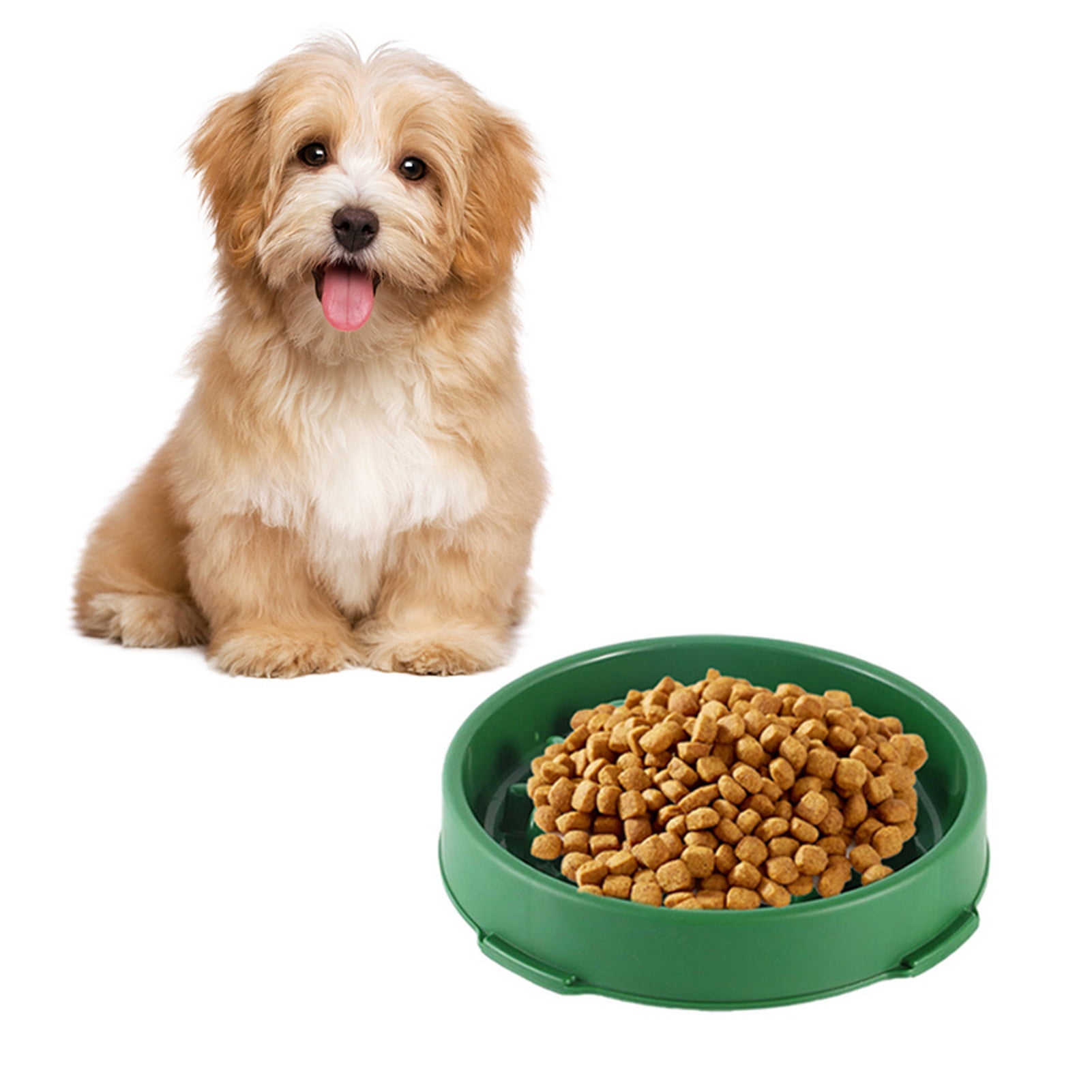 Taolixe Slow Feeder Dogs Bowl for Small Medium Dogs,AntiGulping Pet