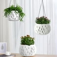 thumbnail image 1 of Taotanxi 10 Inch Hanging Planter, Hanging Planters for Indoor Outdoor Plants Self Watering Hanging Pots with Drainage Holes for Garden Home (White), 1 of 6
