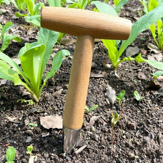 Taotanxi 11" Stainless Steel Garden Dibber Bulb Planter With Wooden Handle, Bulb Planter for Sowing Seeds Transplanting Vegetable Flowers