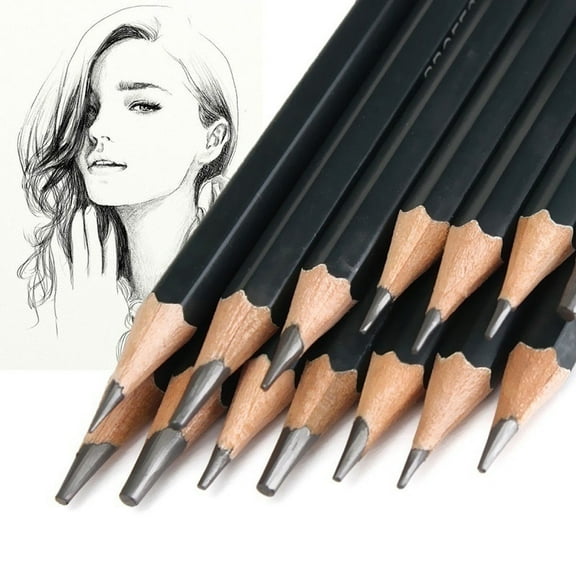 Taotanxi 14PC Professional Sketch Pencil Set - 6H to 12B Drawing Pencils for Art, Shading, and Sketching - Artist Grade Tools