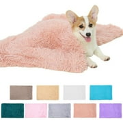 Taotanxi 31x21 Machine Washable Small Bedside Rug, Soft Fluffy Shaggy Entryway Throw Rugs for Bedroom, Living Room, Indoor Floor Carpet, Pet Thermal Sleeping Mat,Grey