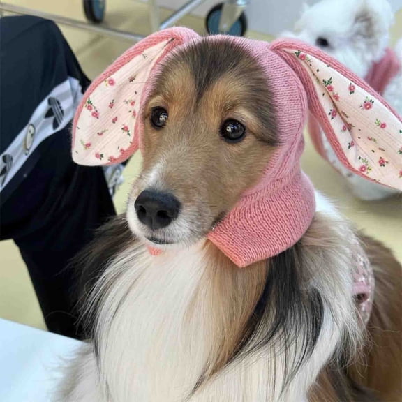 Taotanxi Easter Hood Cats Quiet Ears for Dogs Anxiety Barking Dog Ear Covers Muffs Snood for Noise 1Pcs Ear Hearing Earmuffs Fireworks Protection Anti Anxiety Dog Hat