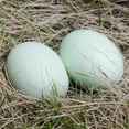 thumbnail image 1 of Taotanxi Easter Wooden Fake Eggs-1 Pieces (Green), 1 of 4