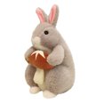 thumbnail image 1 of Taotanxi Eat Pineapple Rabbit Harvest Rabbit Doll， Eat Radish Rabbit Plush Toys Chinese Zodiac Rabbit Year Mascot Doll Rag Doll C, 1 of 4