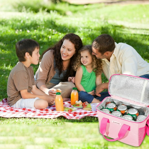 Taotanxi Insulated Picnic Cooler Bag - Zippered Top, Keeps Hot or Cold - Perfect for Picnics, Beach, Food Delivery & Outdoor (9x9x5.9 in)