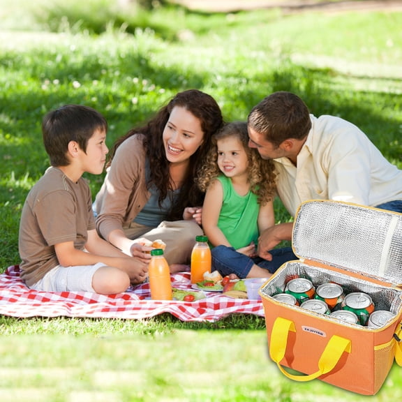 Taotanxi Insulated Picnic Cooler Bag - Zippered Top, Keeps Hot or Cold - Perfect for Picnics, Beach, Food Delivery & Outdoor (9x9x5.9 in)