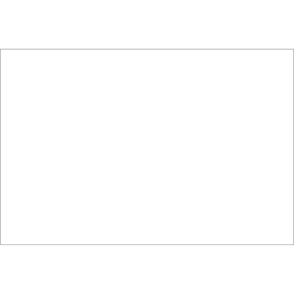 Tape Logic Block Out Labels 2" x 3" White 500/Roll DL1382W