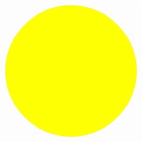 Tapecase Blank Inventory Control Label Yellow, Pk1000 16U823