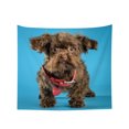 thumbnail image 1 of Tapestry Wall Hanging Puppy Neutral Tapestries Home Decor for Bedroom Aesthetic 37 X29 IN, 1 of 3