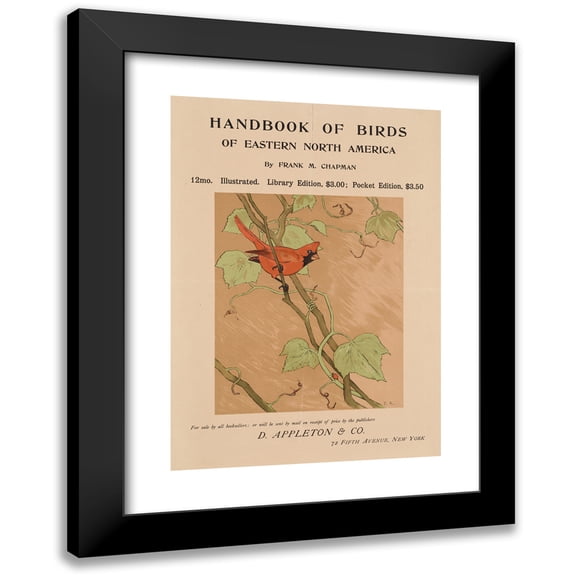 Tappan Adney 11x14 Black Modern Framed Museum Art Print Titled - Handbook of Birds of Eastern North America (ca. 1890-1920)