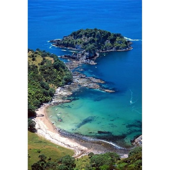 Tapuaetahi Bay Coromandel Peninsula Poster Print by David Wall - 23 x 34 in.