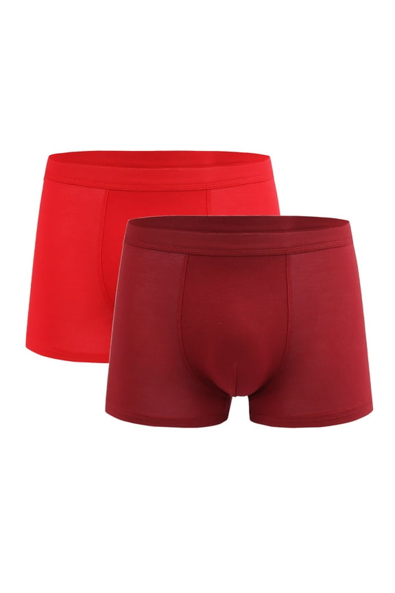 2 Pack Mens' Boxer Briefs Super Fit Breathable Underwear Quick-Dry Performance Moisture-Wicking Soft Comfort Lightweight Briefs Underpants L-4XL