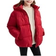 thumbnail image 1 of Taqqpue Girls Puffer Jackets Casual Solid Color Thick Zipper Long Sleeve Warm Winter Hooded Coats Loose Fit Winter Oversized Cotton Outwear with Pockets for Kids 2-12Y, 1 of 6