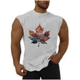 thumbnail image 1 of Taqqpue Mens Graphic Tank Tops Casual Crewneck Sleeveless Shirts Loose Fit Quick Dry Workout Gym Muscle Tee Tops for Swim Beach, 1 of 5
