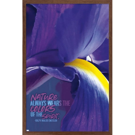 Tara Robinson - Emerson Purple Wall Poster, 22.375" x 34", Framed