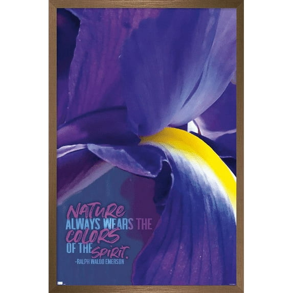 Tara Robinson - Emerson Purple Wall Poster, 22.375" x 34", Framed