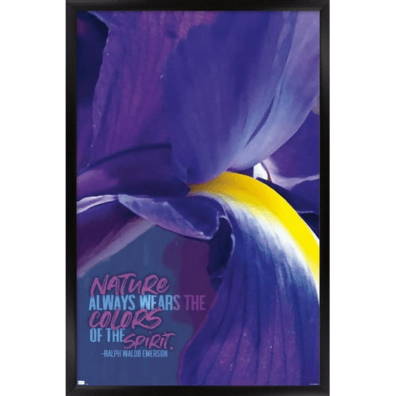 Tara Robinson - Emerson Purple Wall Poster, 22.375" x 34", Framed