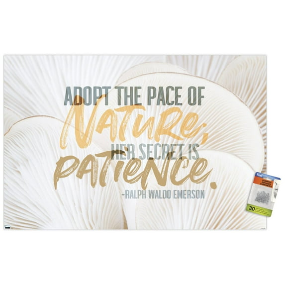 Tara Robinson - Emerson White Wall Poster with Pushpins, 22.375" x 34"