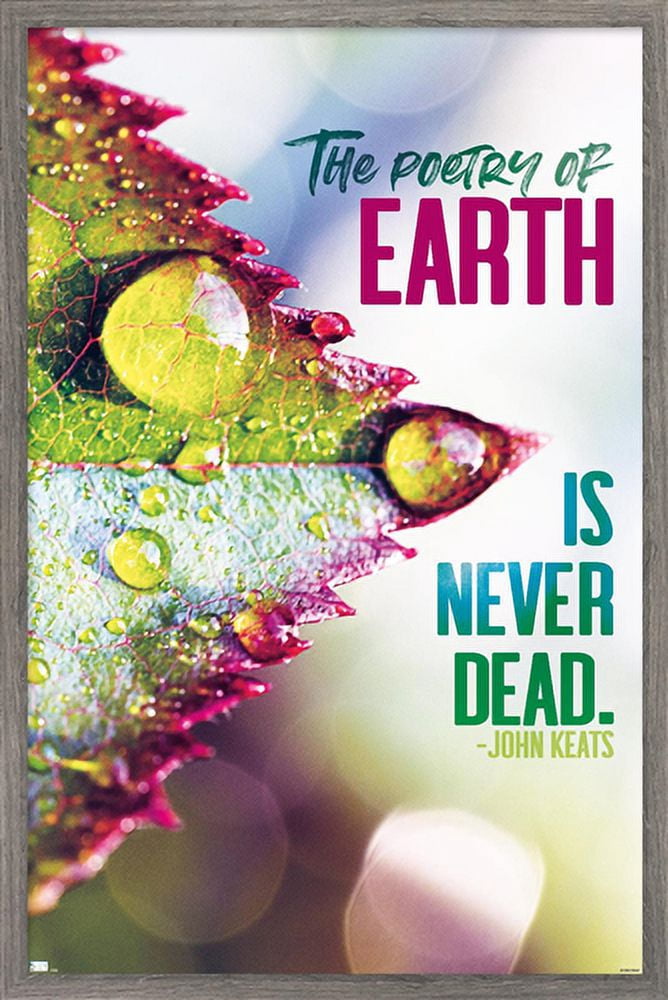 Tara Robinson - Keats Wall Poster, 14.725" x 22.375", Framed