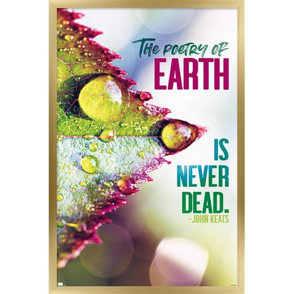 Tara Robinson - Keats Wall Poster, 22.375" x 34", Framed