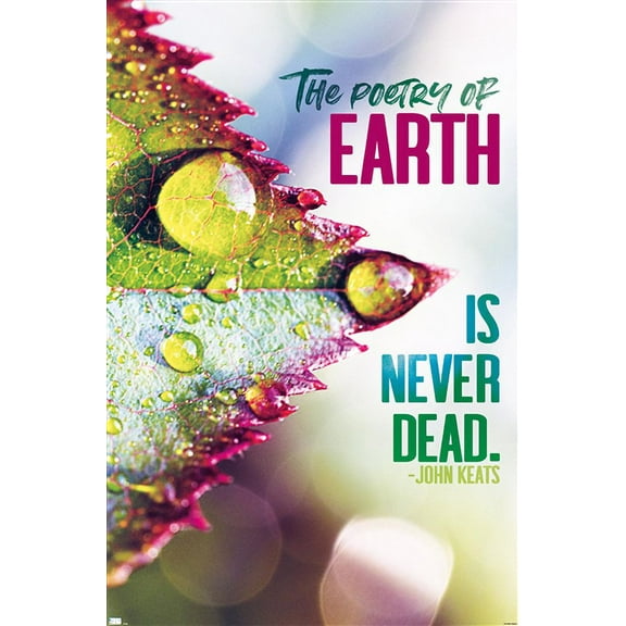 Tara Robinson - Keats Wall Poster, 22.375" x 34"