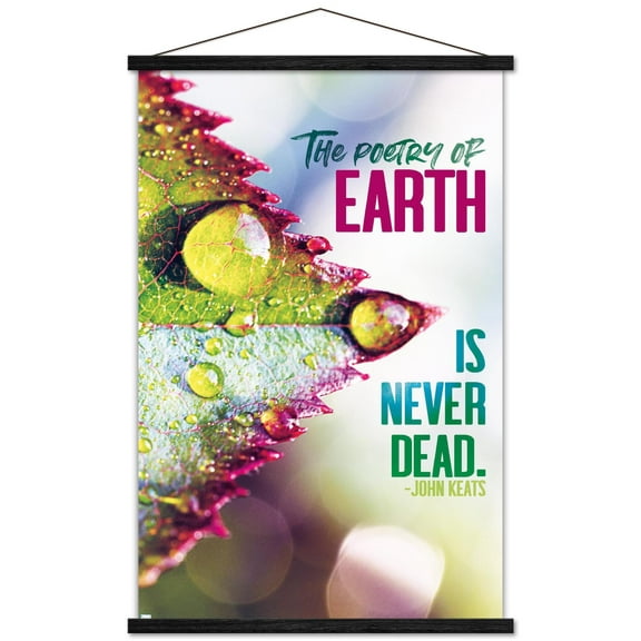 Tara Robinson - Keats Wall Poster with Magnetic Frame, 22.375" x 34"