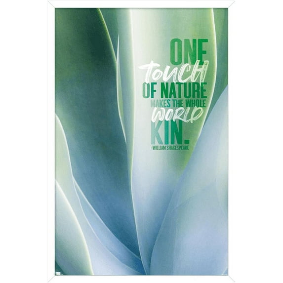 Tara Robinson - Shakespeare Wall Poster, 14.725" x 22.375", Framed