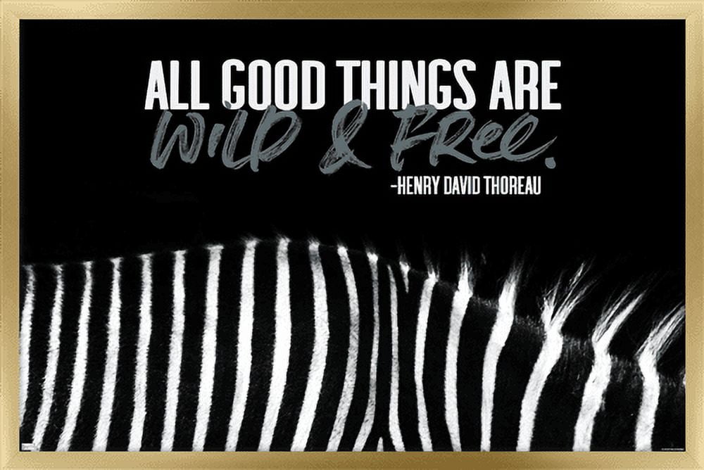 Tara Robinson - Thoreau Wall Poster, 22.375" x 34", Framed
