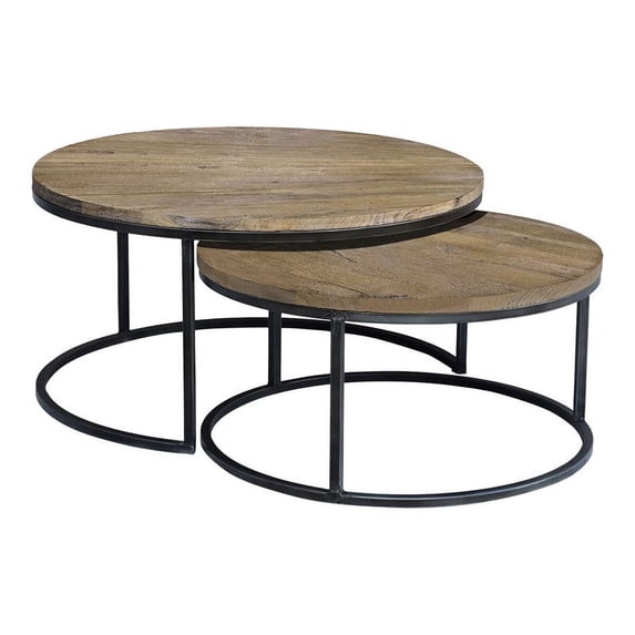 Taran Designs Keaton Modern Wood & Metal Nesting Coffee Table Set in Brown/Black