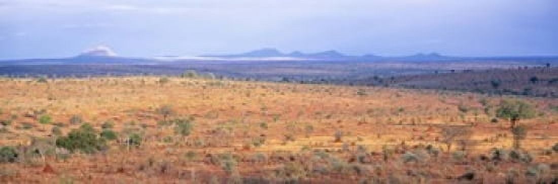 Tarangire Park Tanzania Africa Canvas Art - Panoramic Images (18 x 6)