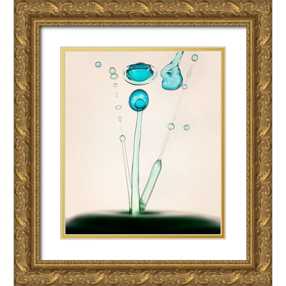 Taransohal 12x13 Gold Ornate Wood Framed with Double Matting Museum Art Print Titled - Drops of Life
