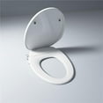 thumbnail image 1 of Taranto Quick-Release Hinges Elongated Toilet Seat, White, 1 of 1
