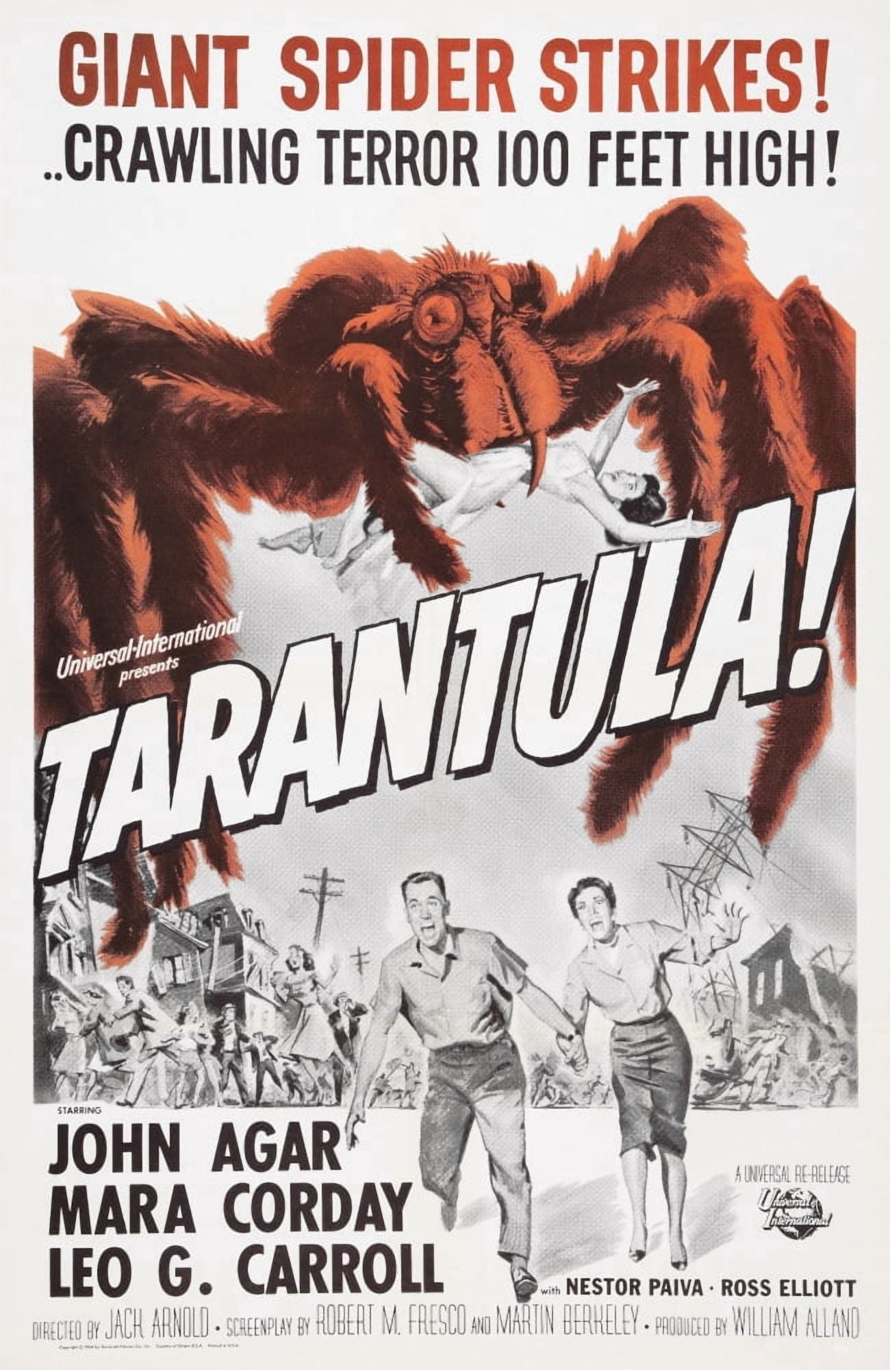 Tarantula Canvas Art - (11 x 17)