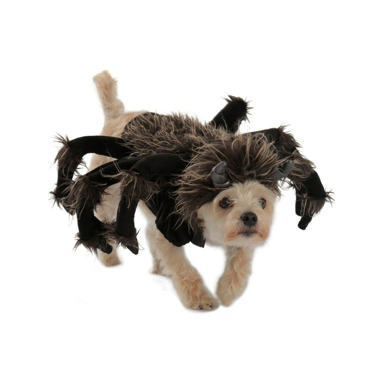 Tarantula dog costume cheap