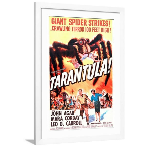 Tarantula Framed Photo by Unknown, 24" x 36", Sold by Art.com