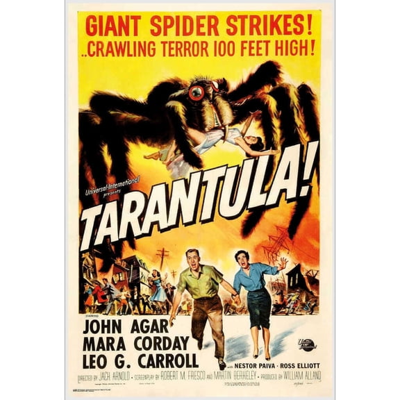 Tarantula Poster - 24.5" x 36.5" Laminated