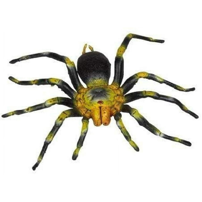 Rubber spider on sale