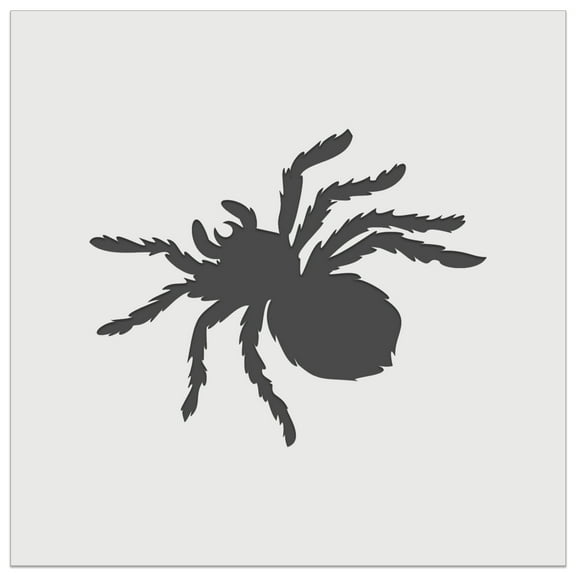 Tarantula Spider Solid DIY Cookie Wall Craft Stencil - 5.5 Inch